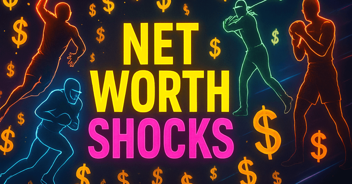 Net Worth Shocks 1